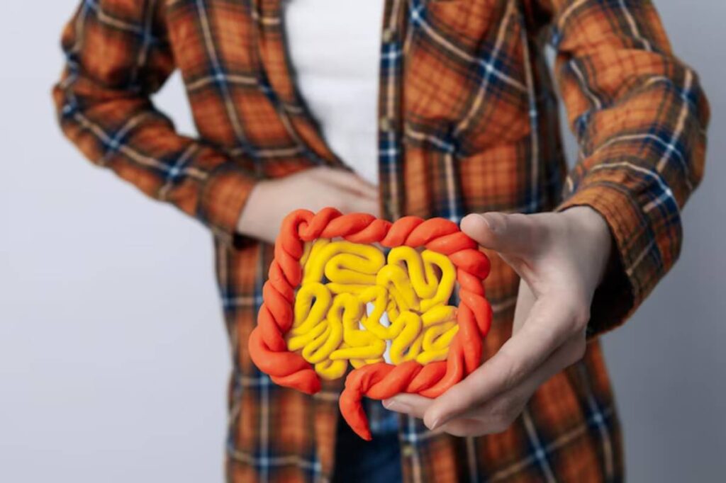 A person in a plaid shirt holds a colorful clay model of intestines, illustrating digestive anatomy in a creative way.