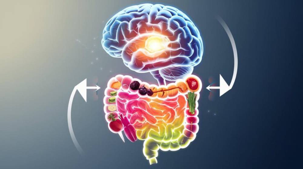 A vibrant illustration depicting a brain connected to a colorful digestive system, symbolizing the gut-brain connection.